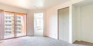 Metropolitan Park Metropolitan Park Gallery 11