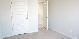 391 Coconut Drive Gallery 26