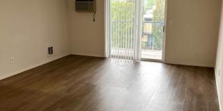 Beautiful 2 Bed 2 Bath Apartment - FIRST MONTH FREE!! Gallery 27