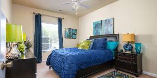 The Falls and Woods of Hoover Gallery 56