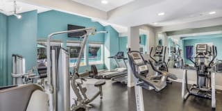 Allegria at Roseville Gallery 11