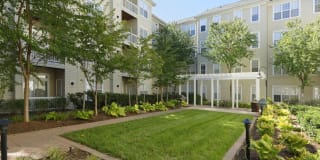 Avalon at Arlington Square Gallery 37