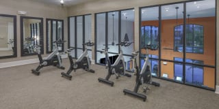 The Collection Gallery 47