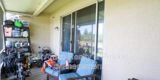 10922 Winter Crest Drive Gallery 14