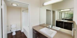 Renaissance Tower Gallery 22