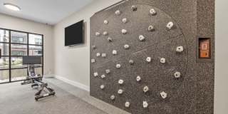 Adler Montford Park Gallery 53