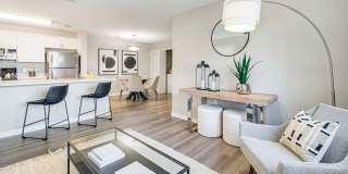 Lexington Palms at the Forum Gallery 5