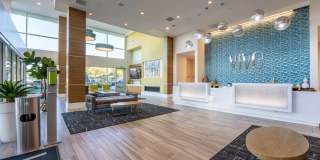 Vive on the Park Gallery 22