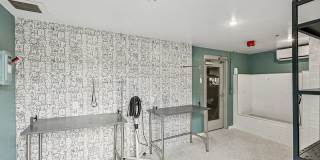Vertis Green Hills Gallery 35