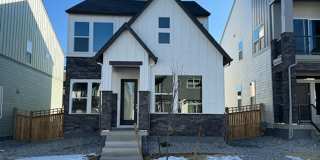 Brand New Home in Broomfield Gallery 1