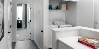 Cyrene at Meadowlands Gallery 30