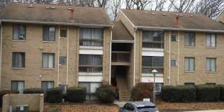 8852 SPIRAL CUT unit: A G 15 Gallery 1