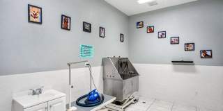 Elements on Third Gallery 34