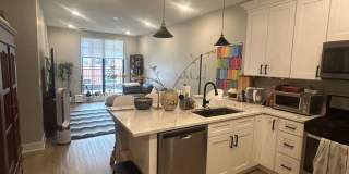3118 North Greenview Ave. Gallery 9
