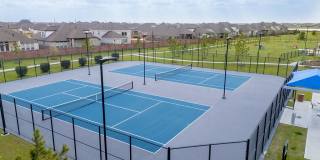 Eden at Sunterra Gallery 46