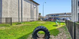 Rise Skyview Gallery 91