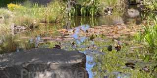 61301 Benham Road Gallery 2