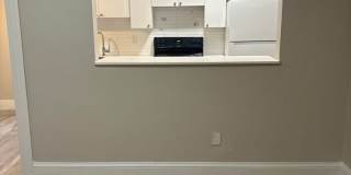 16 Evergreen Avenue Gallery 7