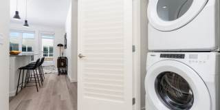 Alexan Main Street Gallery 35