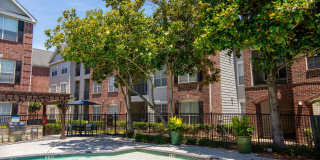 Plaza at Westchase Gallery 33