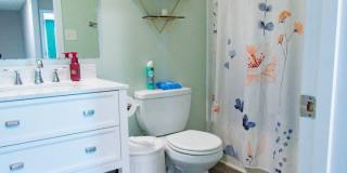 3 Bedroom 2.5 Bathroom with Large Fence Yard Gallery 17