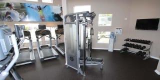 View at Marin Apartments Gallery 9