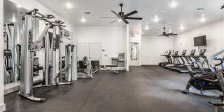 Lector 85 Gallery 25