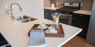 Edition Residences Gallery 11