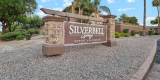 Silverbell Springs Gallery 55