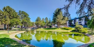 Sage at Panorama Gallery 13