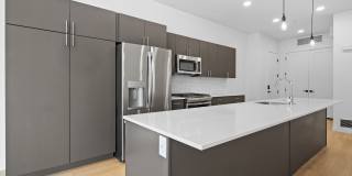 The Olive The Olive Gallery 33