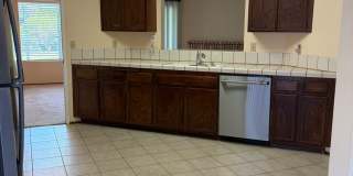 Rare 3 Bed / 2 Bath with Huge Backyard! Gallery 5