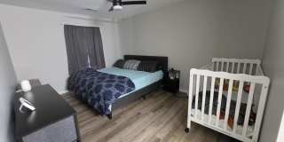 2940 Mulberry Lane Gallery 12