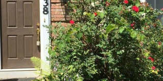 12838 ETHEL ROSE Way Gallery 1