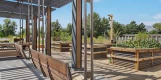 Weathervane Gallery 19