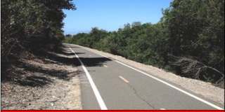 4459 Anne Sladon Street Gallery 23