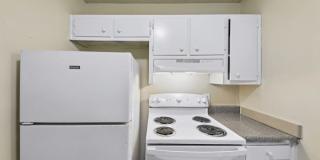 Flourish Park Gallery 10