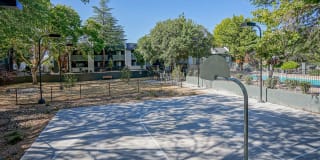 Treehouse Apartments Gallery 59