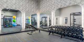 Regent's Park Gallery 29