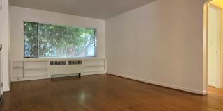 Elite Court Gallery 3