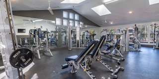Student Housing - Hideaway Gainesville Gallery 11
