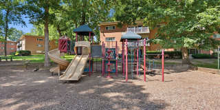 Glenmont Forest Gallery 39