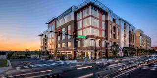 The Frasier Gallery 32