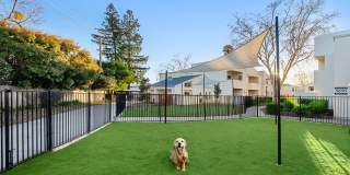 Kensington Kensington Gallery 20