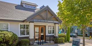 Sofi at Cedar Mill Gallery 44