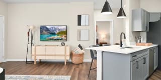 Farmington Lakes Gallery 33