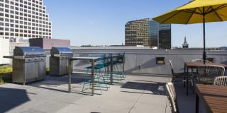 The Brand Gallery 48