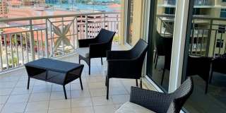 10 PAPAYA STREET Gallery 3