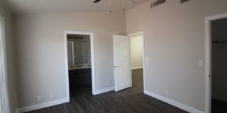 Showings Available NOW Gallery 15