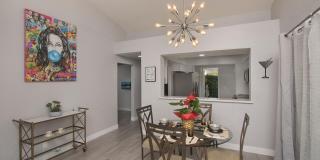 164 Desert Falls Drive E Gallery 2